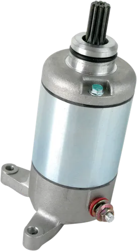 Rick's Electric Starter Motor