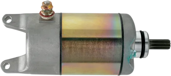 Rick's Electric Starter Motor