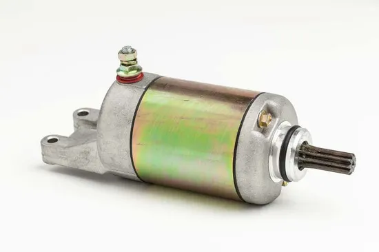 Rick's Electric Starter Motor