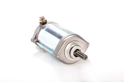 Rick's Electric Starter Motor