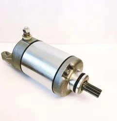 Rick's Electric Starter Motor