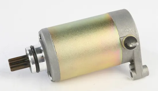 Rick's Electric Starter Motor