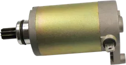 Rick's Electric Starter Motor