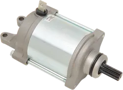 Rick's Electric Starter Motor