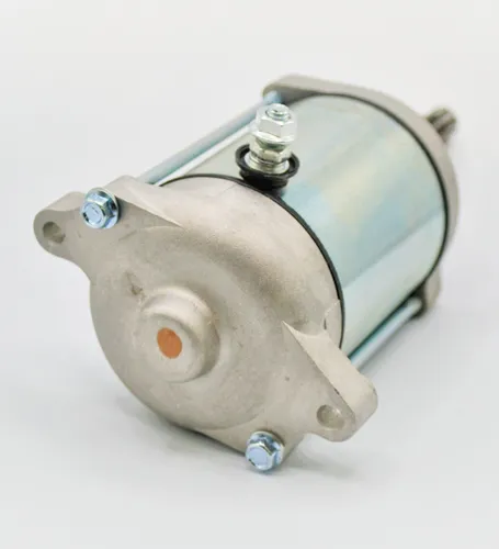 Rick's Electric Starter Motor