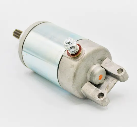 Rick's Electric Starter Motor