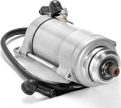 Rick's Electric Starter Motor