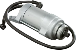 Rick's Electric Starter Motor