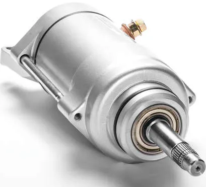 Rick's Electric Starter Motor
