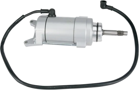 Rick's Electric Starter Motor