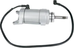 Rick's Electric Starter Motor