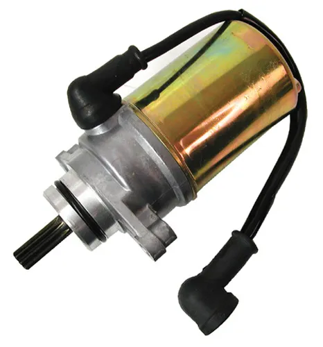 Rick's Electric Starter Motor