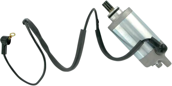 Rick's Electric Starter Motor