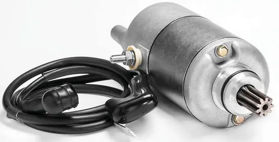 Rick's Electric Starter Motor