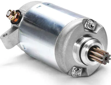 Rick's Electric Starter Motor