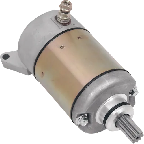 Rick's Electric Starter Motor