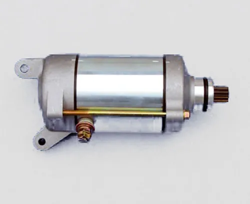 Rick's Electric Starter Motor