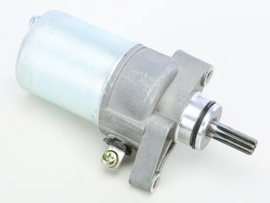 Rick's Electric Starter Motor
