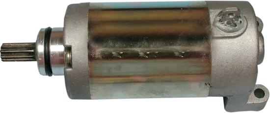 Rick's Electric Starter Motor