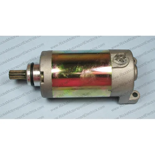 Rick's Electric Starter Motor