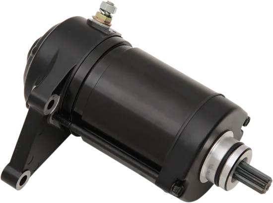 Rick's Electric Starter Motor