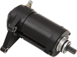 Rick's Electric Starter Motor