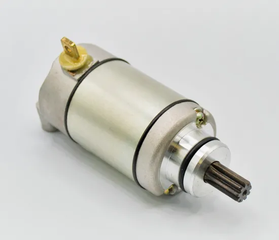 Rick's Electric Starter Motor