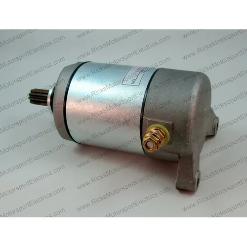Rick's Electric Starter Motor