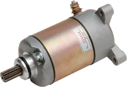 Rick's Electric Starter Motor