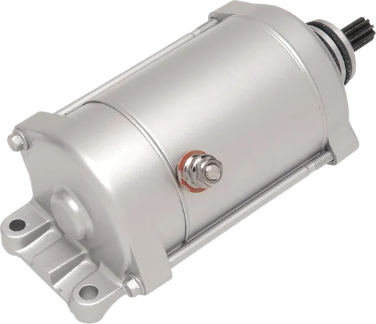 Rick's Electric Starter Motor