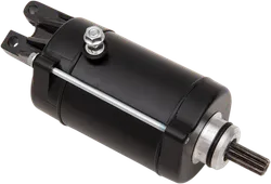 Rick's Electric Starter Motor