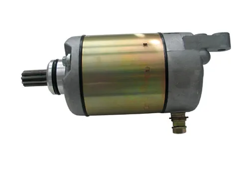 Rick's Electric Starter Motor