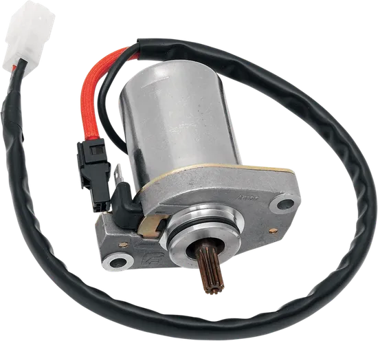 Rick's Electric Starter Motor