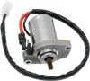 Rick's Electric Starter Motor