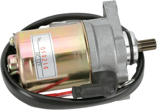 Rick's Electric Starter Motor