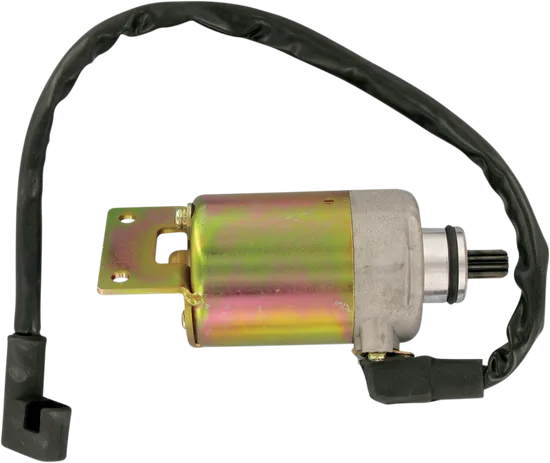 Rick's Electric Starter Motor