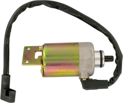 Rick's Electric Starter Motor
