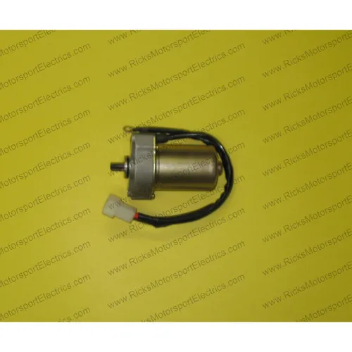 Rick's Electric Starter Motor