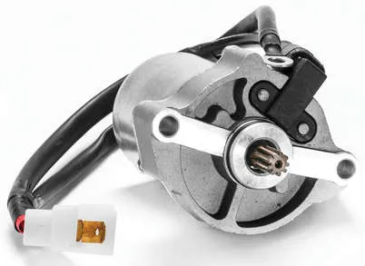 Rick's Electric Starter Motor