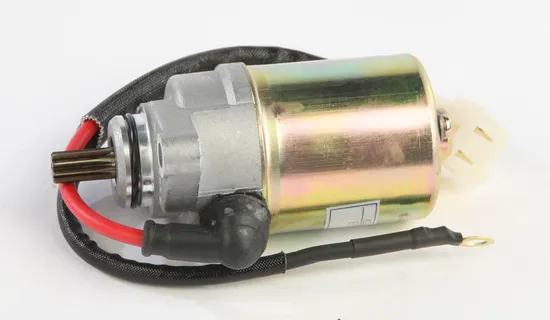 Rick's Electric Starter Motor