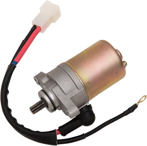 Rick's Electric Starter Motor