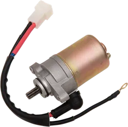 Rick's Electric Starter Motor