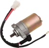 Rick's Electric Starter Motor