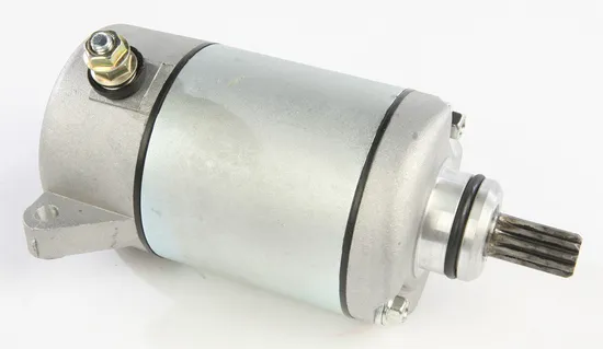 Rick's Electric Starter Motor