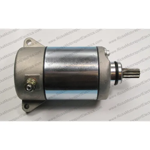 Rick's Electric Starter Motor