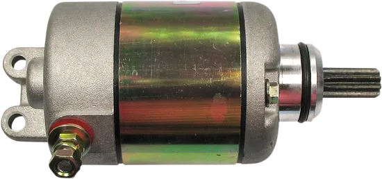 Rick's Electric Starter Motor