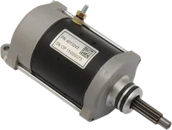 Rick's Electric Starter Motor