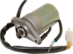 Rick's Electric Starter Motor