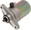 Rick's Electric Starter Motor