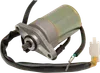 Rick's Electric Starter Motor